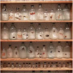 Liu Zhuoquan, Story of Insects, Glass Bottles, Mineral Color, Acrylic Paint, Oil Paint, Wooden Frame, 122cm x 64cm x 8cm, 2011